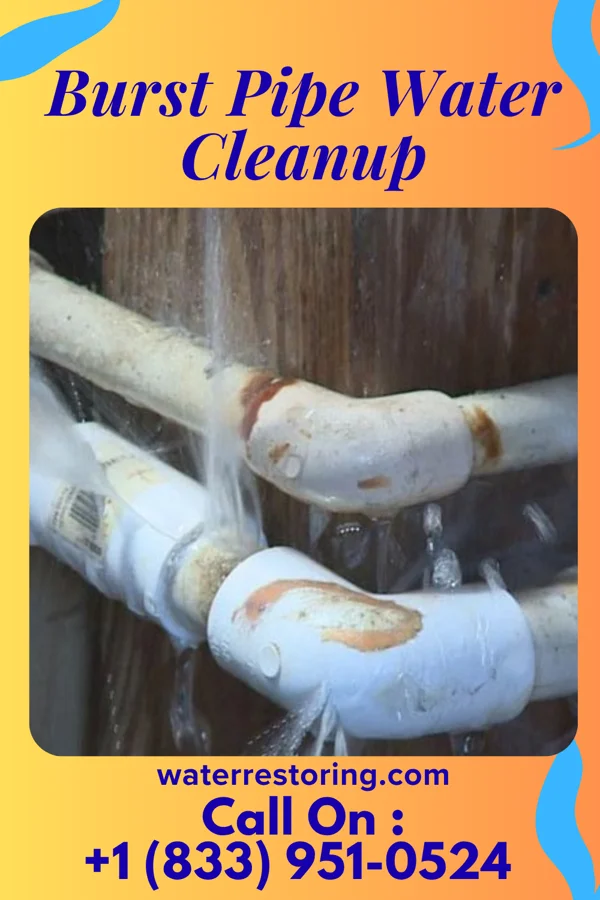 Burst Pipe Water Cleanup in North Wildwood, NJ