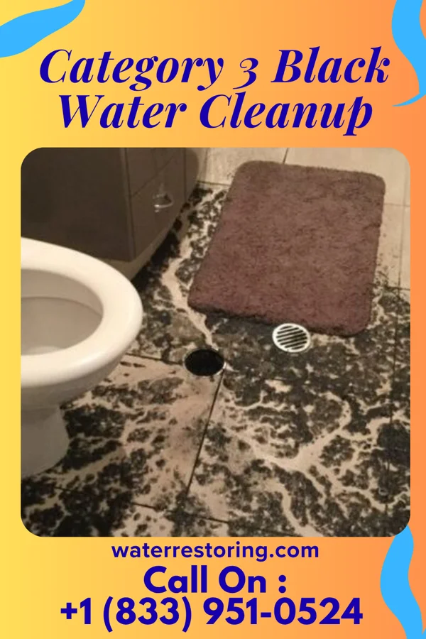 Category 3 Black Water Cleanup in North Wildwood, NJ