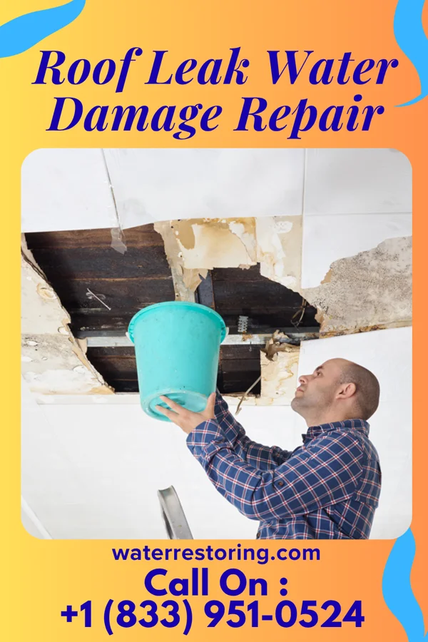Roof Leak Water Damage Repair in North Wildwood, NJ