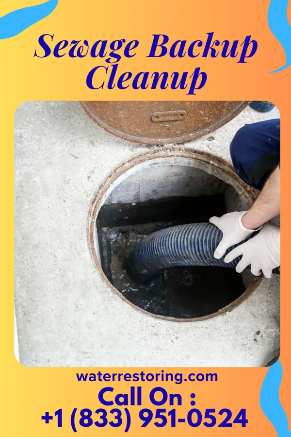 Sewage Backup Cleanup in North Wildwood, NJ